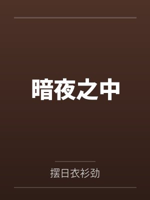 暗夜之中封面