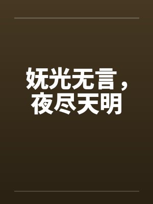 妩光无言，夜尽天明封面