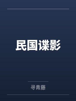 民国谍影封面