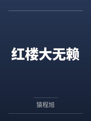 红楼大无赖封面