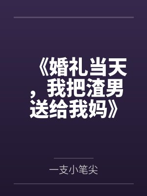 《婚礼当天，我把渣男送给我妈》封面