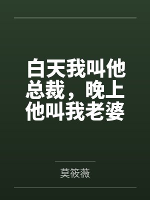 白天我叫他总裁,晚上他叫我老婆封面