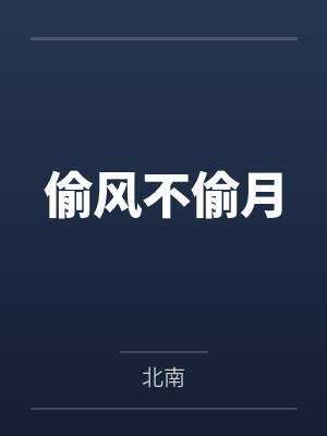 偷风不偷月封面