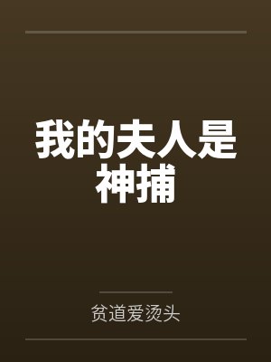 我的夫人是神捕封面