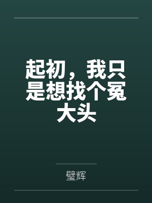 蓬灵鹭启封面