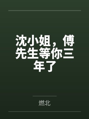 沈轻傅云笙封面
