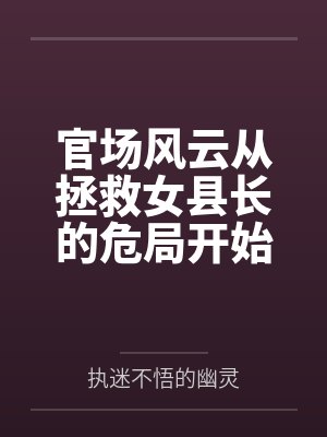 官场风云从拯救女县长的危局开始封面