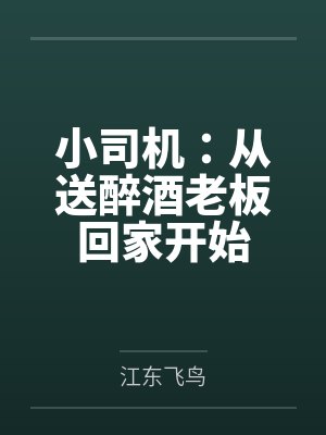 小司机：从送醉酒老板回家开始封面