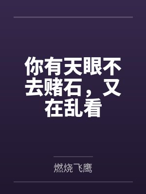 你有天眼不去赌石，又在乱看封面