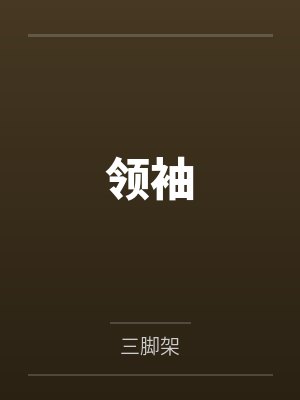 领袖封面
