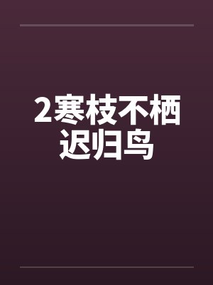 2寒枝不栖迟归鸟封面