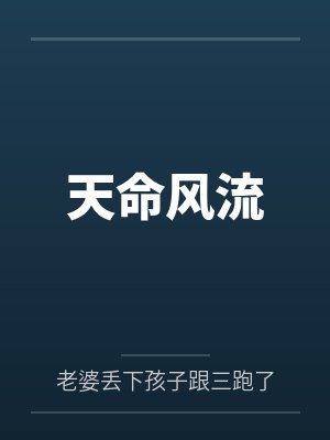 天命风流封面