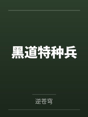 黑道特种兵封面