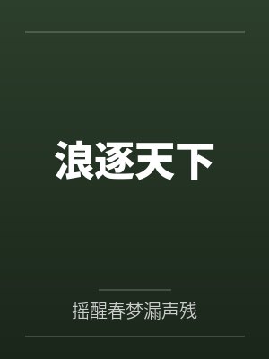 浪逐天下封面