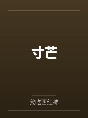 寸芒封面