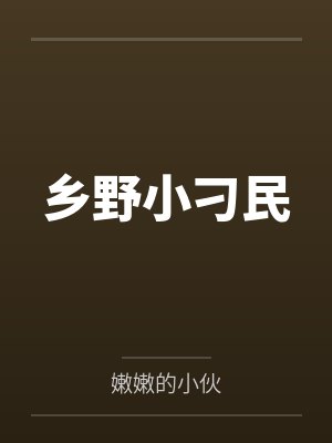 乡野小刁民封面