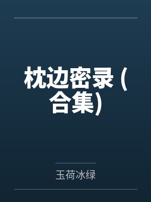 枕边密录 (合集)封面