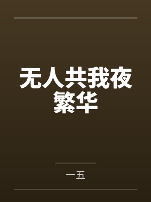 无人共我夜繁华封面