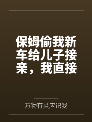 保姆偷我新车给儿子接亲，我直接锁死车门封面