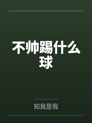 不帅踢什么球封面