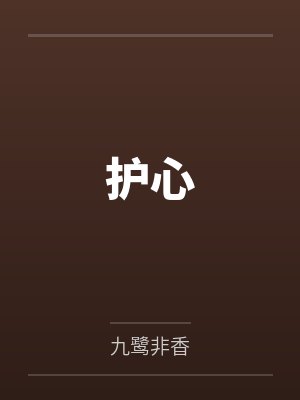 护心封面