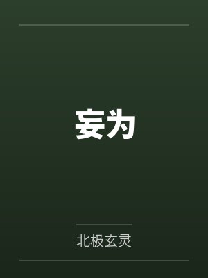 妄为封面