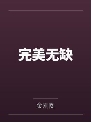 完美无缺封面