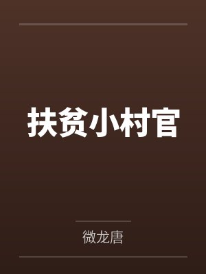 扶贫小村官封面