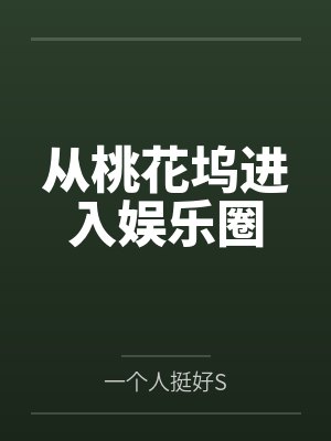 从桃花坞进入娱乐圈封面