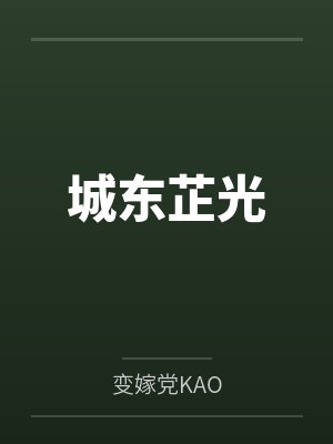 芷蓉震光封面