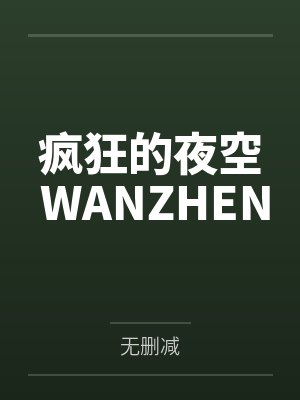 疯狂的夜空 WANZHEN封面