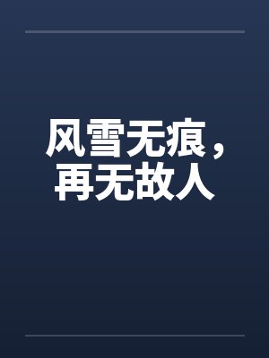 风雪无痕,再无故人封面