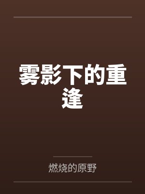 雾影下的重逢封面