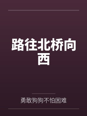 路往北桥向西封面