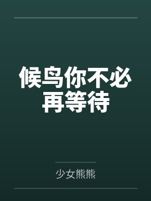 候鸟你不必再等待封面