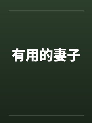 有用的妻子封面