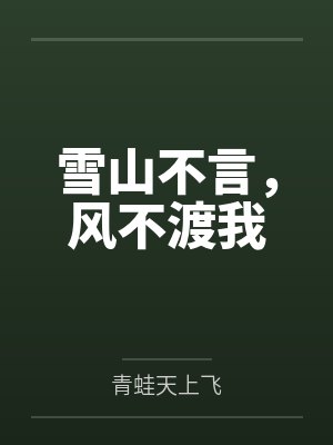 雪山不言,风不渡我封面