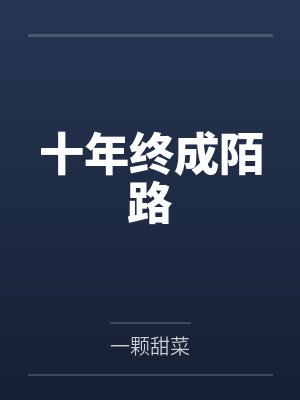 十年终成陌路封面