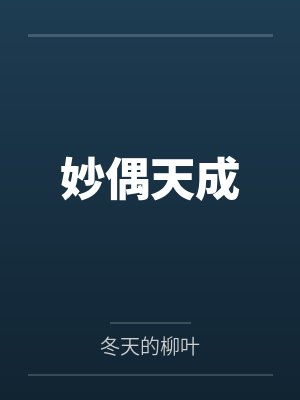 妙偶天成封面