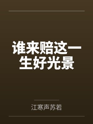 谁来赔这一生好光景封面