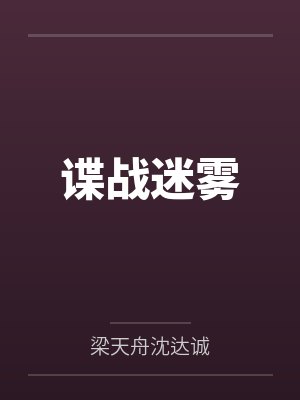 谍战迷雾封面