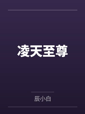 凌天至尊封面