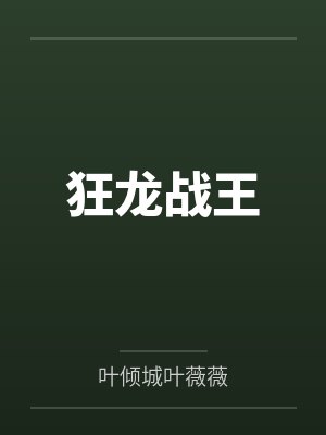 狂龙战王封面
