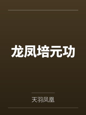 龙凤培元功封面