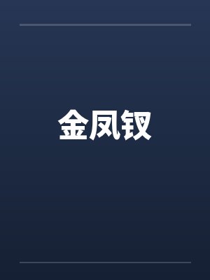 金凤钗封面