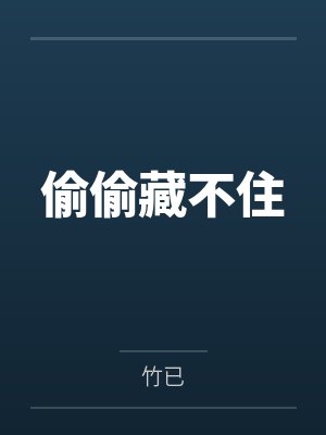 偷偷藏不住封面