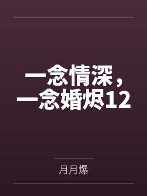 一念情深，一念婚烬12封面