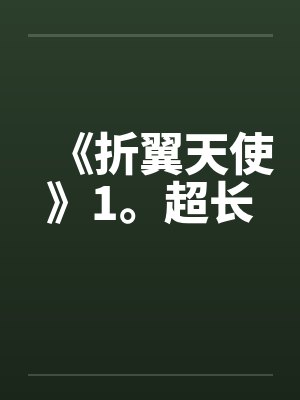 《折翼天使》1。超长封面