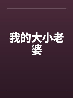 我的大小老婆封面