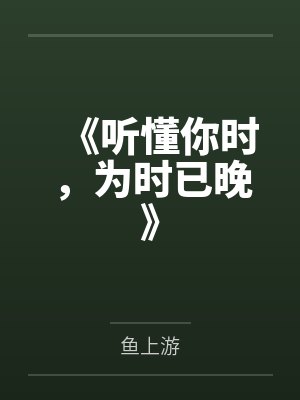 《听懂你时，为时已晚》封面